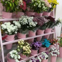 محصولات