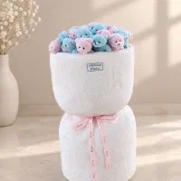 پخش کننده بوکت کادویی