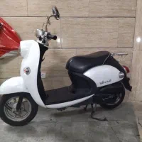 پاکشتی وینو