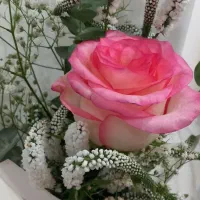 یه سری وسایل در مترو پیدا شده