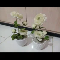 گل گلدان‌ گلدون  پایه گل|گل مصنوعی|زاهدان, |دیوار