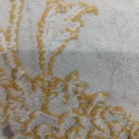 خونه فروشی روستای سلم اباد