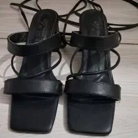 کفش مجلسی