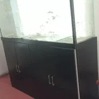 آکواریوم با کمدام دی اف|ماهی|شازند, |دیوار