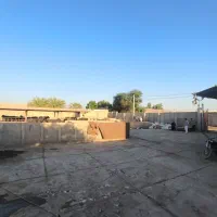 دامداری|فروش دفتر صنعتی، کشاورزی، تجاری|سوسنگرد, |دیوار