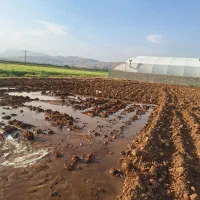 زمین-همایجان