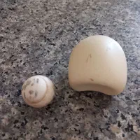 سنگ آسیاب