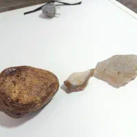 عقیق قرمز سلیمانی شجر