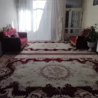 فرش12متری|فرش|تربت‌حیدریه, فرمانداری|دیوار