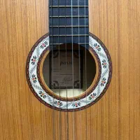 گیتار|گیتار، بیس، امپلیفایر|بوشهر, |دیوار