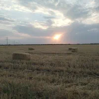 70هکتار زمین براتوبان