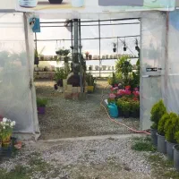 واگذاری گلخانه