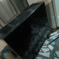 بخاری بزرگ سالم