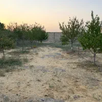 باغ چشمه گیلاس