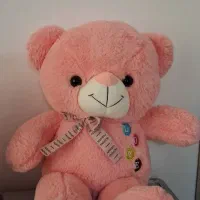 عروسک برای ولنتاین