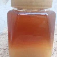 عسل گَوَن|خوردنی و آشامیدنی|تهران, بلورسازی|دیوار