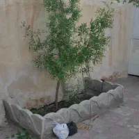 ویلای ۱۷۰متری سنددار