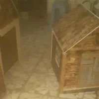 پت هوم|لوازم جانبی حیوانات|آستانه اشرفیه, |دیوار