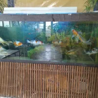 اکواریوم بزرگ 2متری