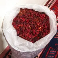 زغال اخته خشک و تازه