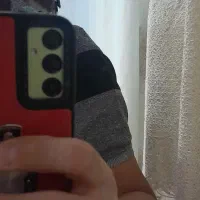 مرغ مینا چشم ستاره ای|پرنده|فسا, |دیوار