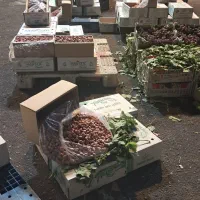 شراکت در میدان تربار|اجارهٔ مغازه و غرفه|تهران, میدان میوه و تره‌بار مرکزی|دیوار