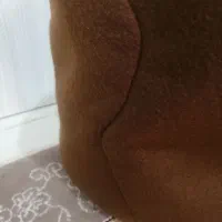 لانه پرنده|لوازم جانبی حیوانات|مشهد, شهرک رازی (شهرک غرب)|دیوار
