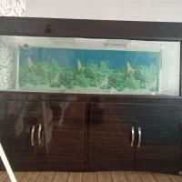 اکواریوم دومتری کمد دار