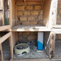 قفس جفتگاه|لوازم جانبی حیوانات|شیراز, شهرک صادقیه|دیوار