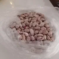 فروش لوبیا چیتی و دولتی|عمدهفروشی|سراب, |دیوار