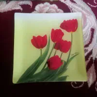 شش عدد بشقاب مربی بفرش میرسد|ظروف سرو و پذیرایی|بیجار, |دیوار