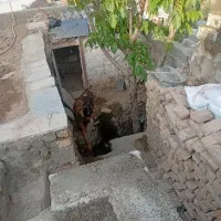 سگ ژرمن