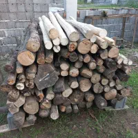 فروش چوب خشک هیزمی