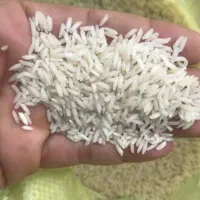 کمپلو شمالی|عمدهفروشی|اهواز, کمپلو شمالی|دیوار