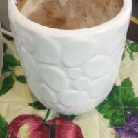 گلدان|گل و گیاه طبیعی|ری, فیروزآبادی|دیوار