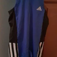 ۲ عدد دوبنده کشتی|لباس|ساری, |دیوار