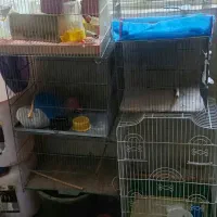 ۶قفس پرنده و عروس هلندی با تمام وسایل