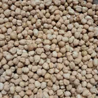 نخود سفید سه خان