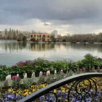 اکو سلام نوع هست اطلان استفاده نشده است