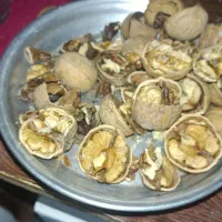 گردو عمده|خوردنی و آشامیدنی|تهران, ترمینال غرب|دیوار
