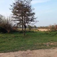 زمین ۷۰۵ متری درگیلان|فروش زمین و ملک کلنگی|ماکلوان, |دیوار