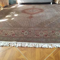 فرش ماهی|فرش|تبریز, |دیوار