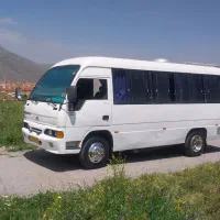 مینی بوس دربستی