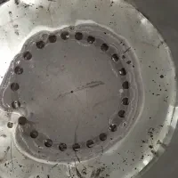 تنور۴ نان تمیز تمیز|اجاق گاز و لوازم برقی پخت‌وپز|بندر امام خمینی, |دیوار