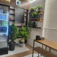 کار در کافه