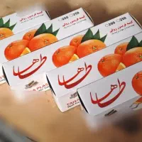 کیسه فریزر رولی