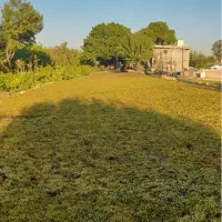 ۲۰ هکتار زمین کشاورزی معاوضه با ملک غرب تهران