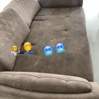 شستشویمبل|خدمات نظافت|بیرجند, |دیوار