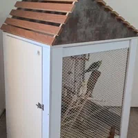 قفس عروس هلندی