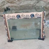 آکواریوم برا فروش|ماهی|مسجد سلیمان, |دیوار